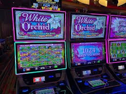 Tampilan papan taruhan European Roulette di layar dewa bumi22